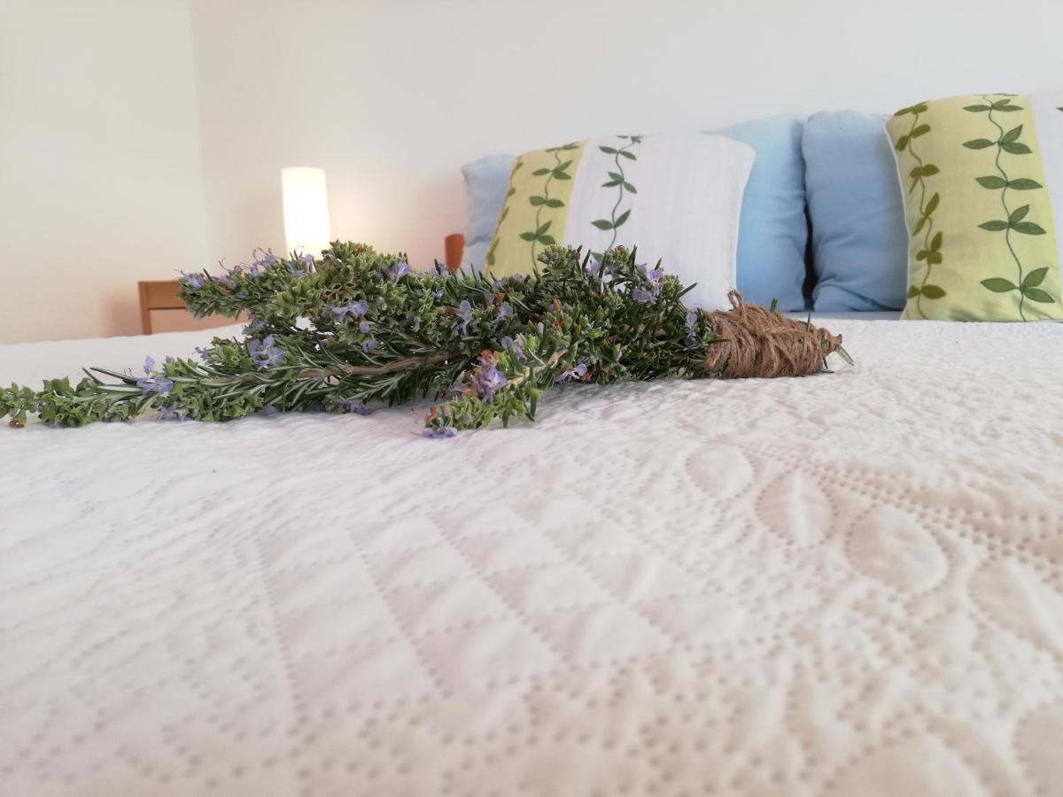 נין Apartment Anzotika מראה חיצוני תמונה